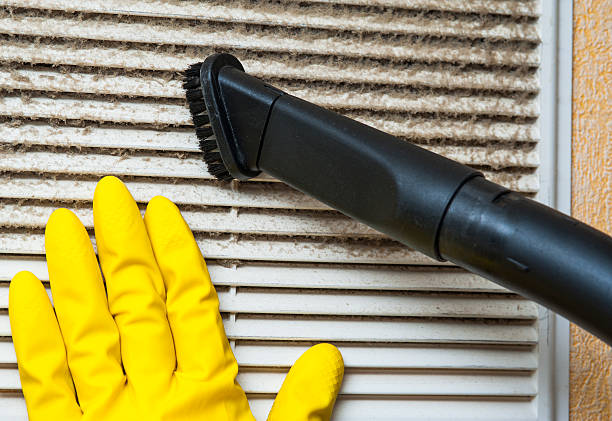 Best Air Filter Replacement Services in Lavon, TX